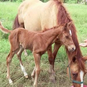 Meet your Posher, Janie